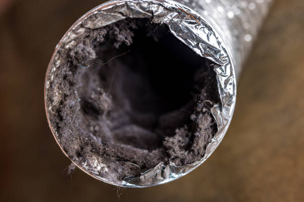 Best HVAC System Cleaning  in West Rson, CA