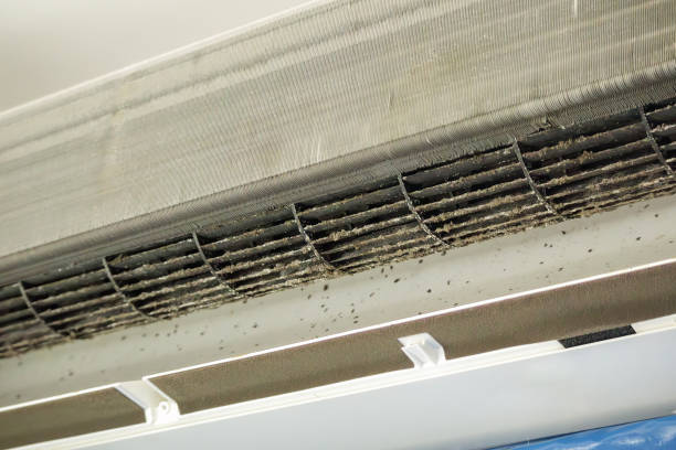 Best Professional Duct Cleaning Services  in West Rson, CA